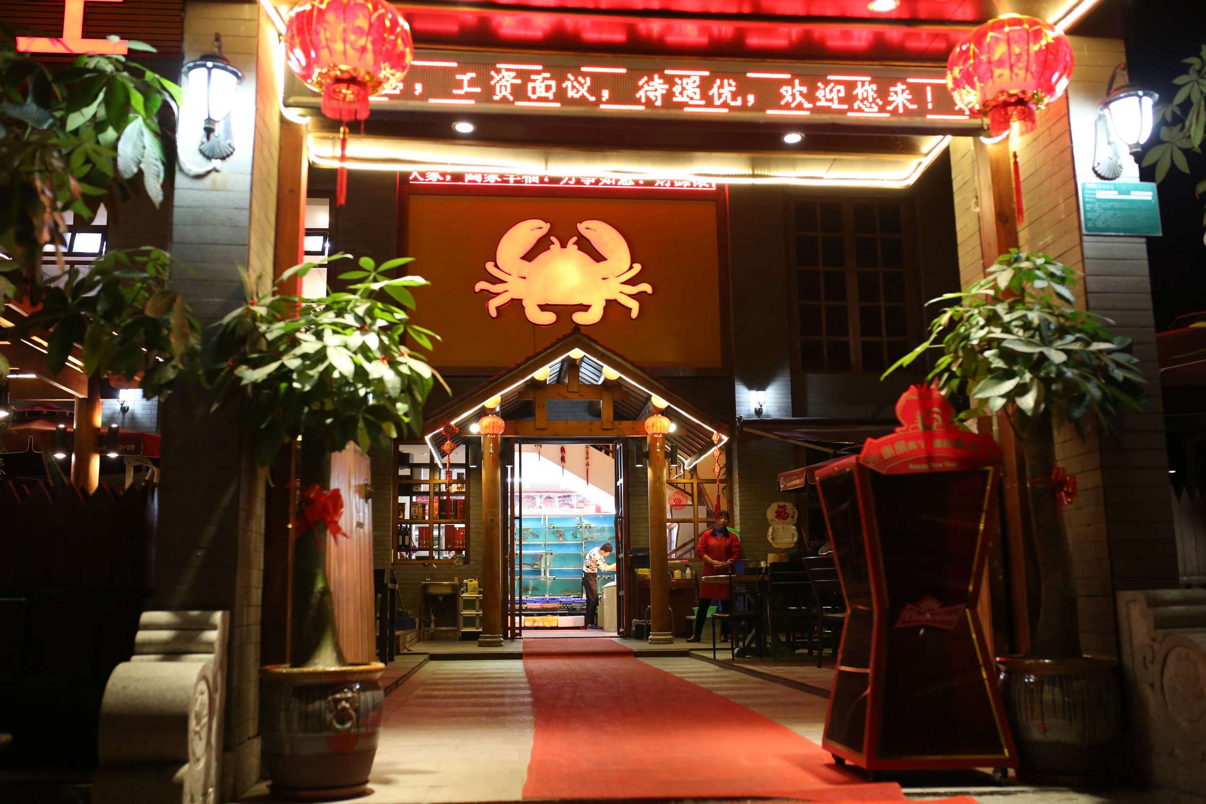 土龙是什么东西土龙长什么样子，土龙是什么样子的（土龙不土，它竟然是进补佳品）