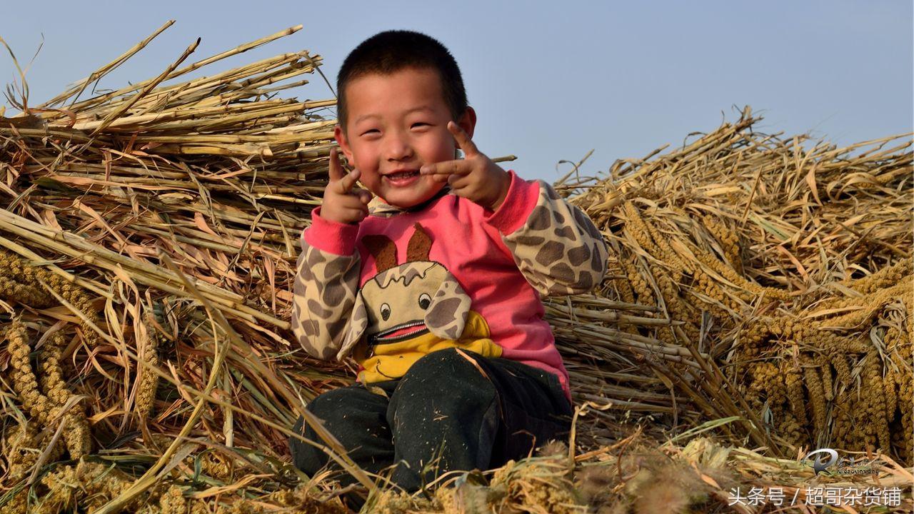 鹦鹉吃什么食物最好，小型鹦鹉吃什么食物最好（常见鹦鹉食物大揭秘）