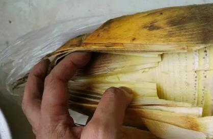 竹笋怎样剥皮，竹笋怎样剥皮快（去皮、去涩有窍门）