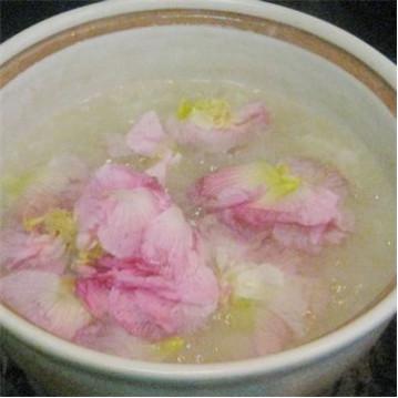 芙蓉花叶子的作用与功效，芙蓉花叶子有什么功效（全身上下都是治病良药）