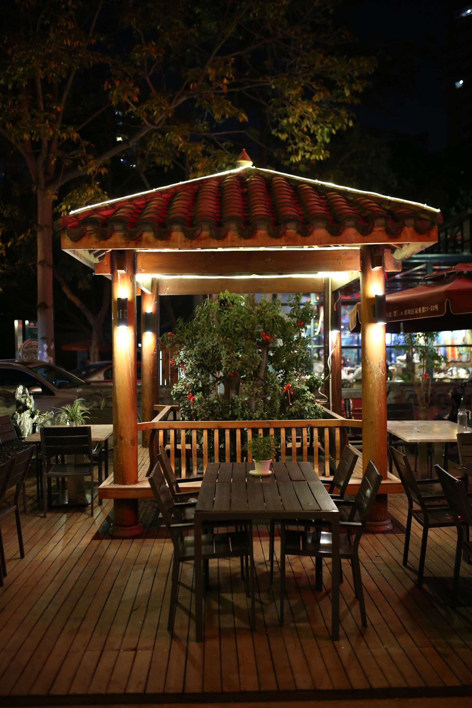 土龙是什么东西土龙长什么样子，土龙是什么样子的（土龙不土，它竟然是进补佳品）