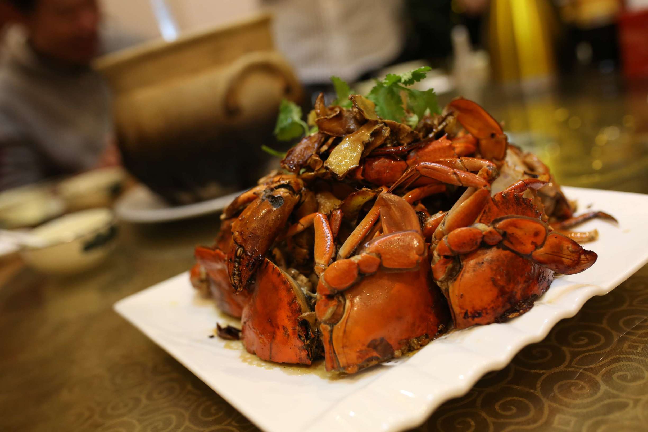 土龙是什么东西土龙长什么样子，土龙是什么样子的（土龙不土，它竟然是进补佳品）