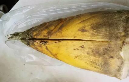 竹笋怎样剥皮，竹笋怎样剥皮快（去皮、去涩有窍门）