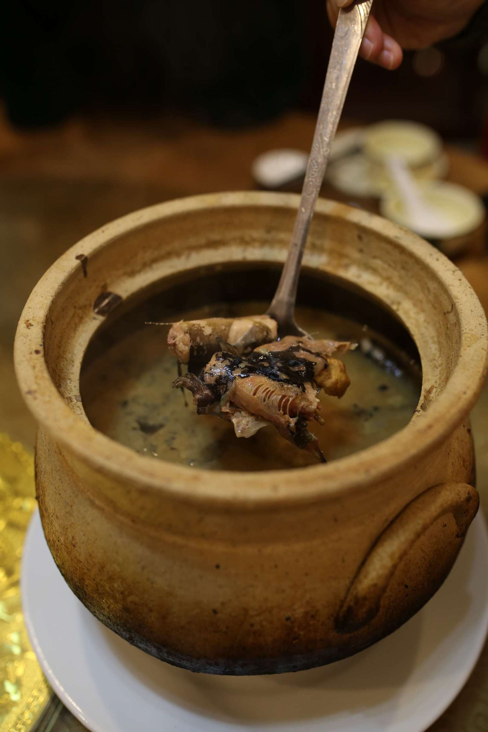 土龙是什么东西土龙长什么样子，土龙是什么样子的（土龙不土，它竟然是进补佳品）