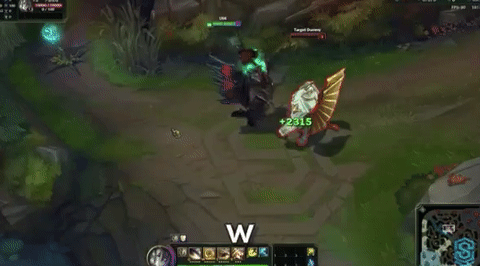 战地之王加里奥皮肤多少钱，英雄联盟中加里奥的皮肤及其价格（这款皮肤的身价瞬间提升了10倍）