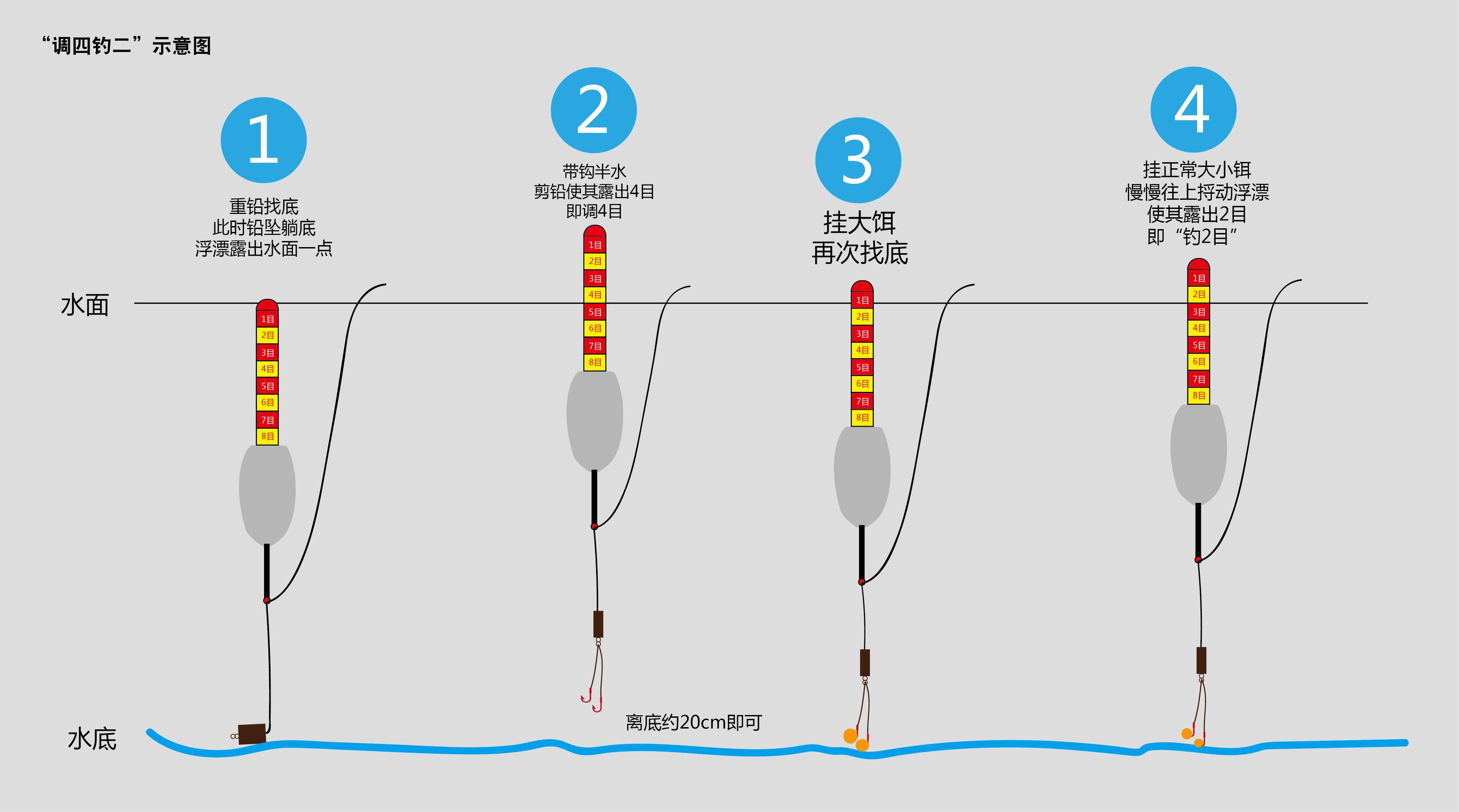 白条是什么意思，白条是什么鱼（台钓新手入门教程）