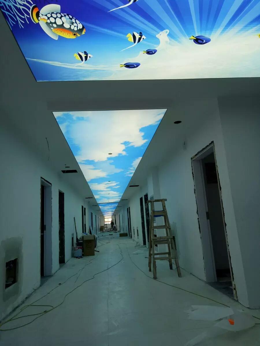 拉蓬天花特点有哪些，提拉蓬new（天花软膜天花的特点）