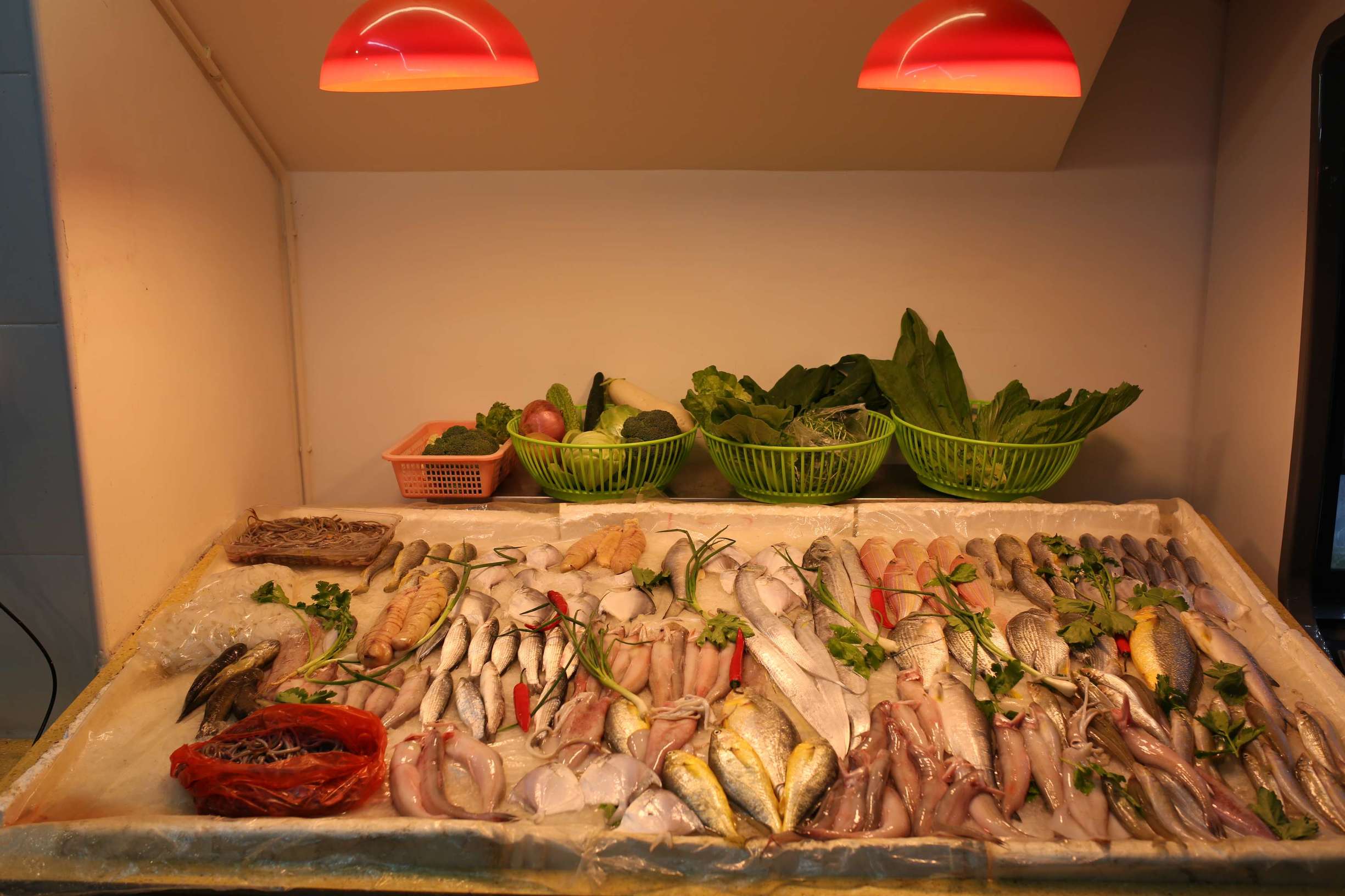 土龙是什么东西土龙长什么样子，土龙是什么样子的（土龙不土，它竟然是进补佳品）