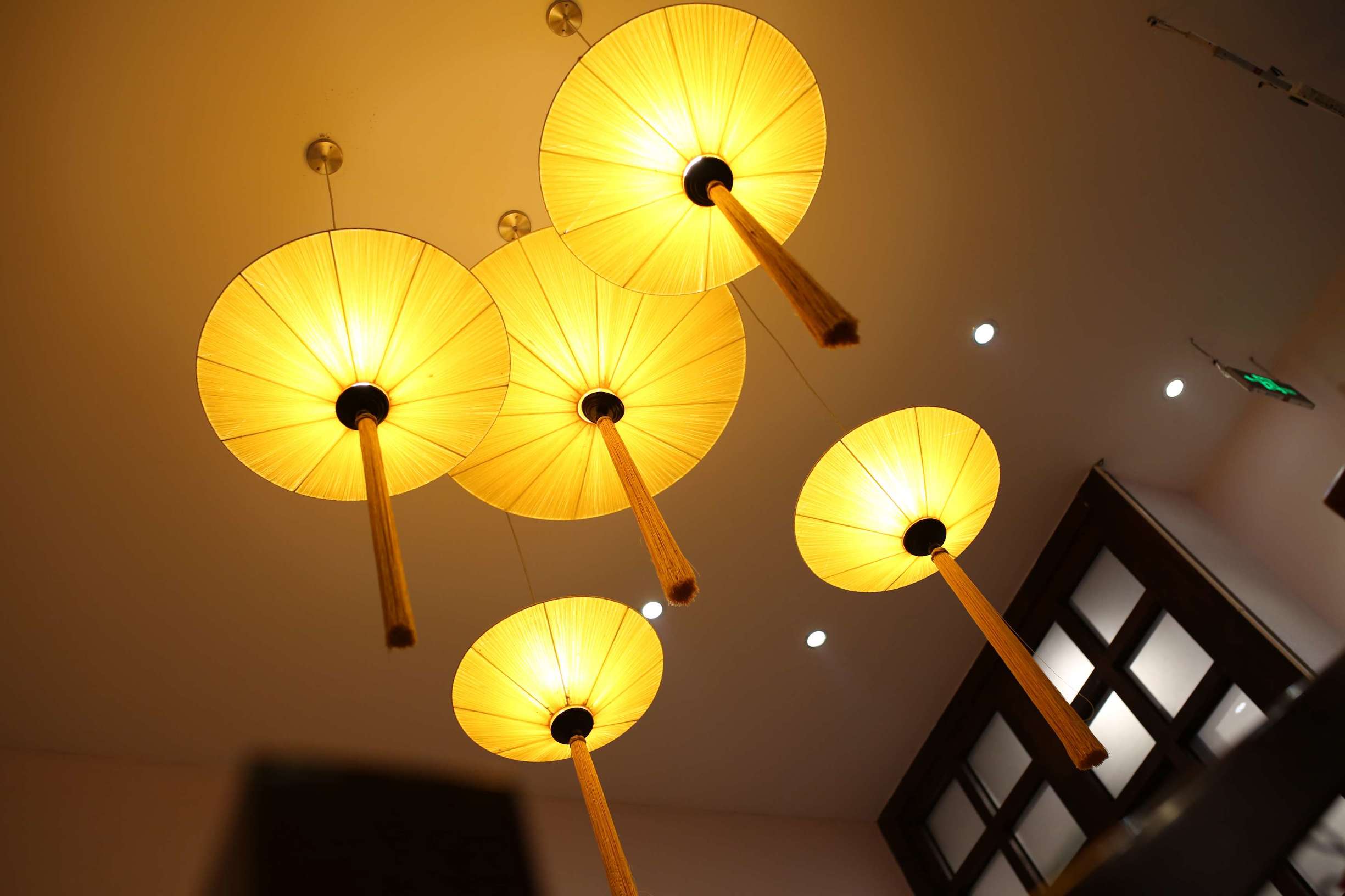 土龙是什么东西土龙长什么样子，土龙是什么样子的（土龙不土，它竟然是进补佳品）