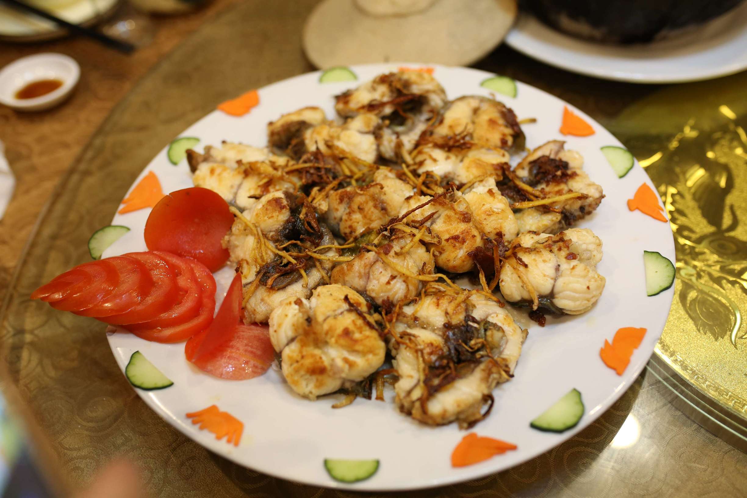 土龙是什么东西土龙长什么样子，土龙是什么样子的（土龙不土，它竟然是进补佳品）