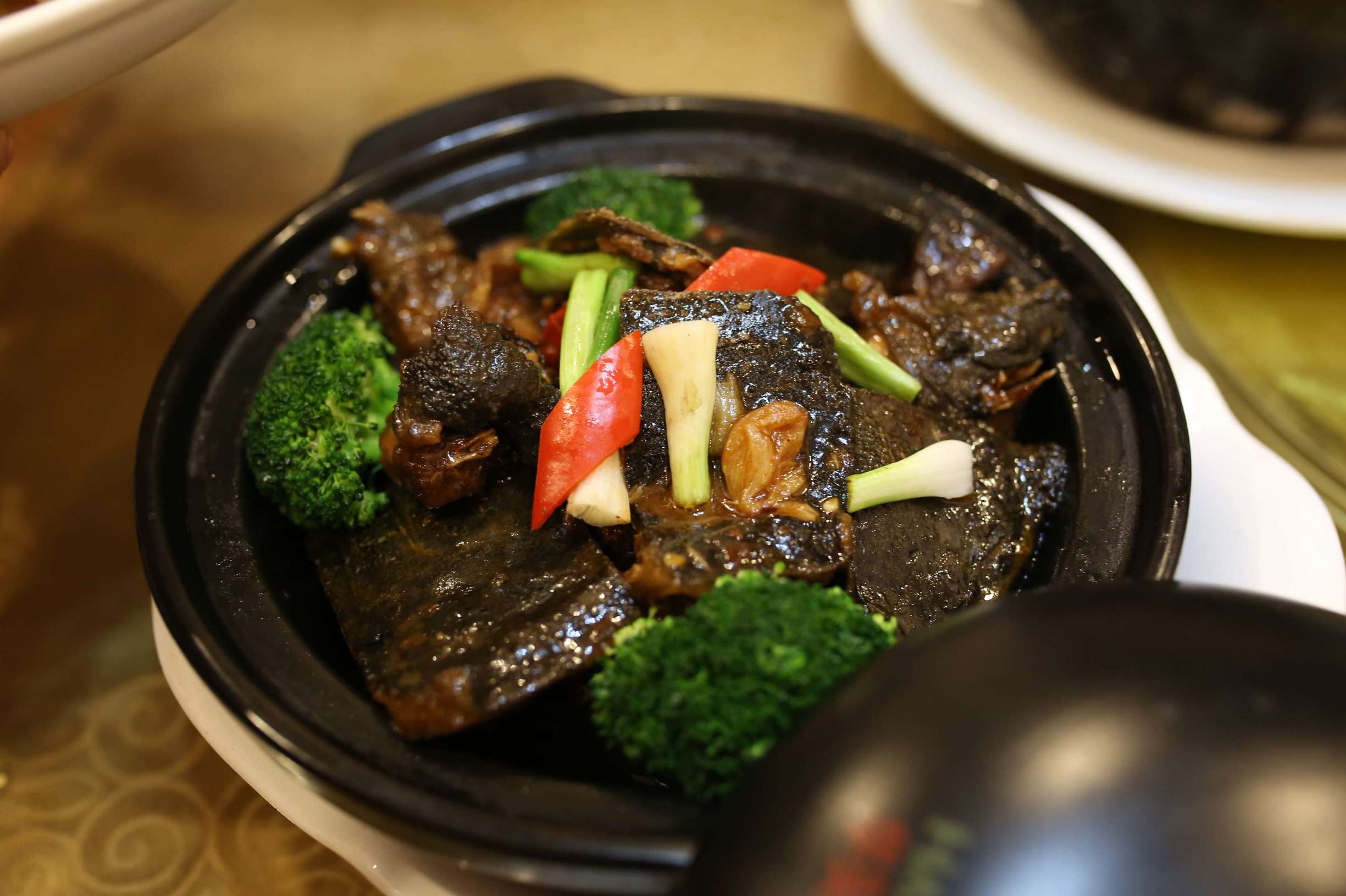 土龙是什么东西土龙长什么样子，土龙是什么样子的（土龙不土，它竟然是进补佳品）