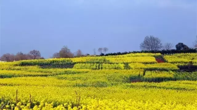 濮阳龙乡的由来，濮阳龙乡的由来和历史（龙都濮阳原来藏了这么多秘密）