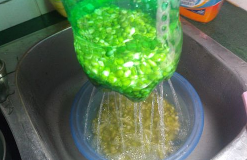 绿豆芽怎么发又粗又快，绿豆芽怎样做才能长的快些（5天就能发出又粗又壮的豆芽）