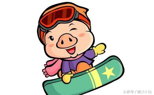 属猪人未来十年运势预测,属猪人未来十年运势预测女(肖猪人未来五年