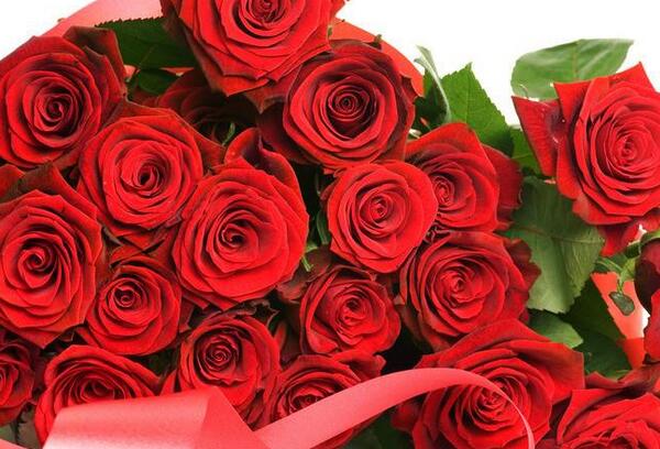 白玫瑰代表什么意思，白玫瑰代表什么（21朵白玫瑰代表什么意思）