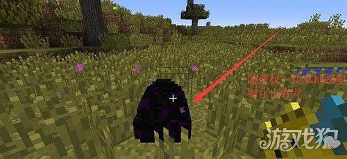 我的世界末影龙蛋怎么孵化，手游末影龙蛋怎么孵化（我的世界怎样孵出一只青龙）