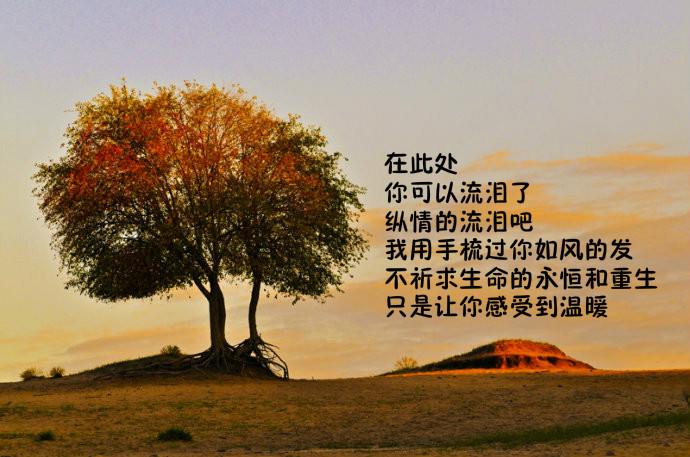 庚申时是几点，庚申时是几点开始（大六壬金口诀起课方式和其理论介绍）