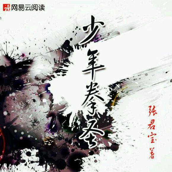 少年拳圣在线阅读，《少年拳圣》txt下载在线阅读全文（2017青春校园类最热门的网络小说）
