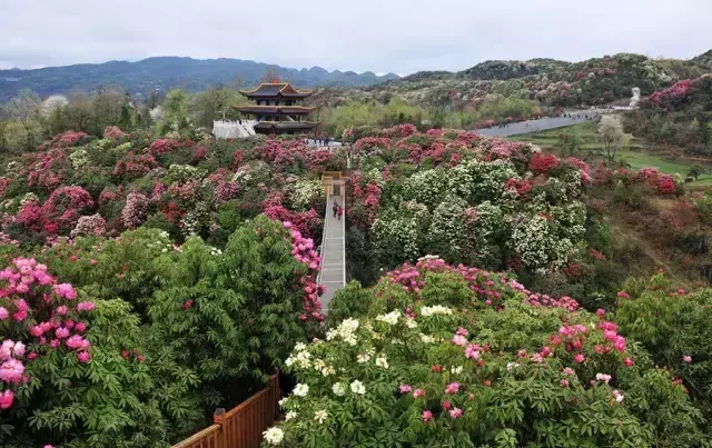 贵阳顺丰快递电话(贵阳顺丰快递恢复了吗)