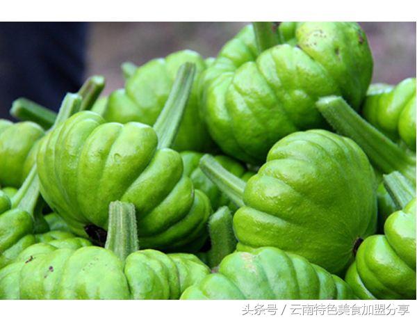 目前世上最全的50种瓜的图片及名称图片,所有常见的40种瓜图集