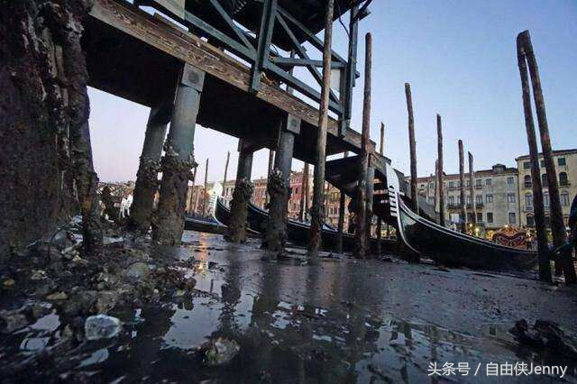 威尼斯三绝是什么，威尼斯的三绝是什么（昔日水城威尼斯，突变干城！）