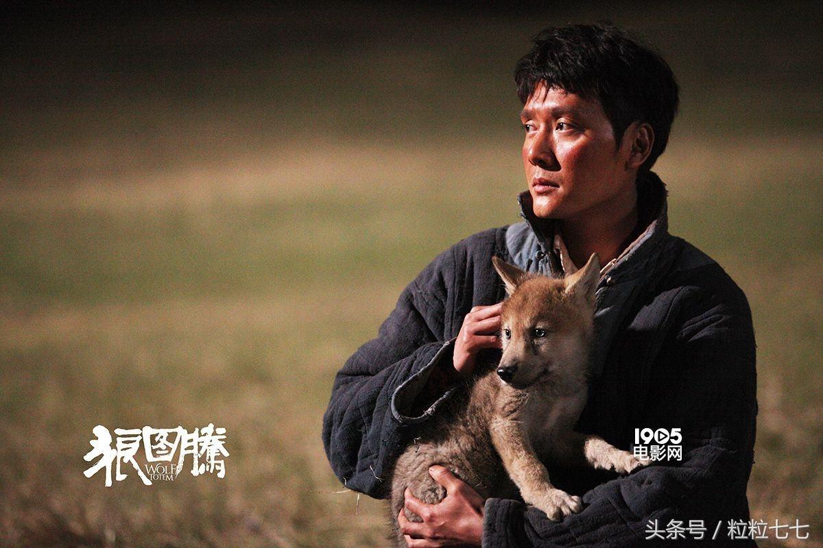 狼图腾电影完整版bt，狼图腾电影完整版bt(狼图腾电影完整版bt)（《狼图腾》这么悲壮的电影）