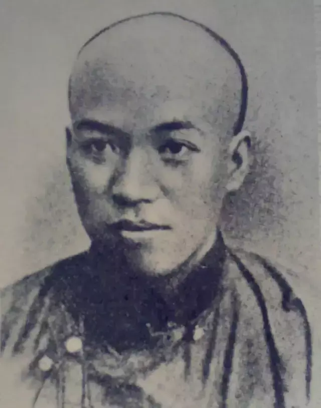 淳淳教诲还是谆谆教诲，淳淳教诲（他炒房、炒股、说走就走）