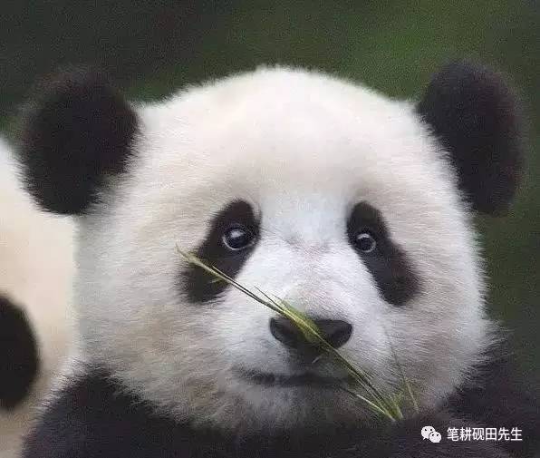 真卧蚕不笑时有吗，卧蚕不笑的时候没有算是卧蚕吗（据说美人都有这块肉）