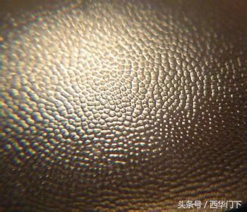 犀牛角如何鉴定，犀牛角如何鉴定真伪（中药师教你辨别真假犀角）