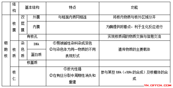 细胞核的功能是什么，细胞核的功能是什么?代谢的中心是哪里（2017云南教师招考知识细胞核的结构和功能面面观）