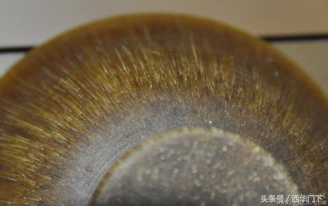 犀牛角如何鉴定，犀牛角如何鉴定真伪（中药师教你辨别真假犀角）