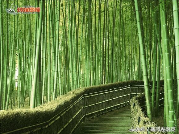 夕阳西下打一地名，黄昏打一地名是什么（出几个谜语，大家娱乐一下）