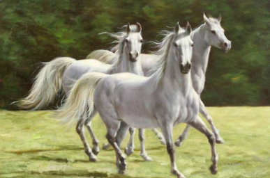 马年运程：属马的女人命运怎么样，马年运程：属马的女人命运怎么样（属马的女人命好不好）