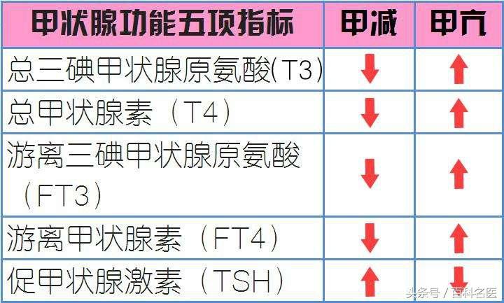 促甲状腺激素0.01严重吗，促甲状腺素0.01严重吗（你的甲状腺功能各项指标正常吗）