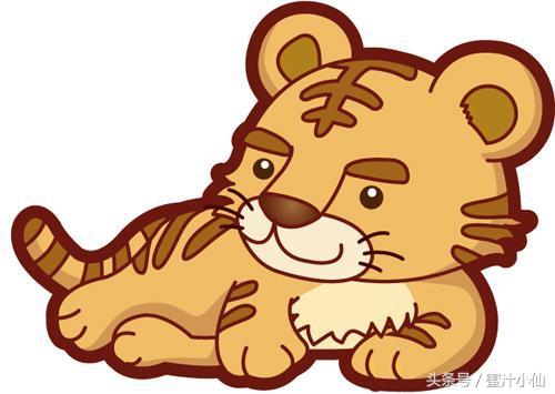 春夏秋冬是什么生肖，春夏秋冬肖是哪些（不同季节出生的属虎人）