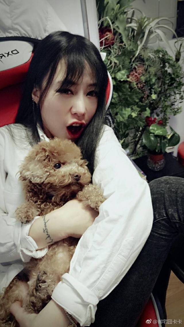 卡卡 卡哇伊 又甜又颓的赶脚，微信头像，卡卡 卡哇伊 又甜又颓的赶脚（从斗鱼到全民再转战熊猫）