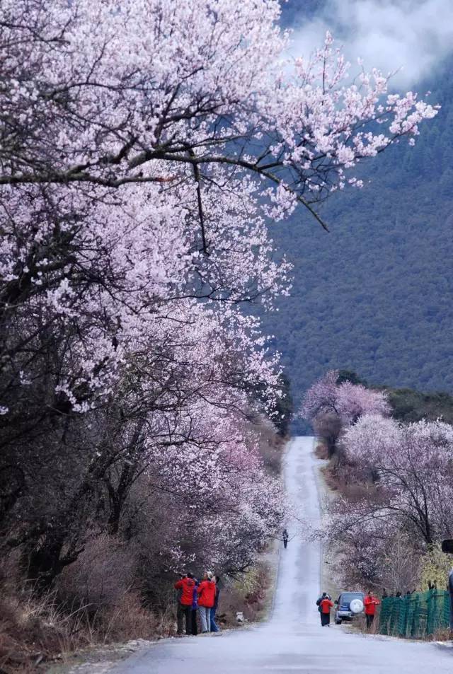 杭州到西藏()