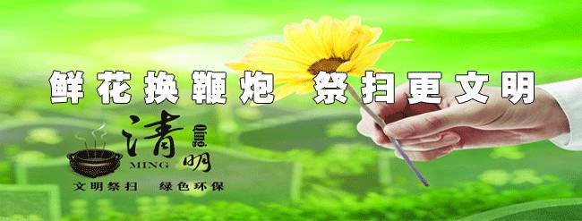 电费余额网上查询(支付宝查看电费每天用电明细)