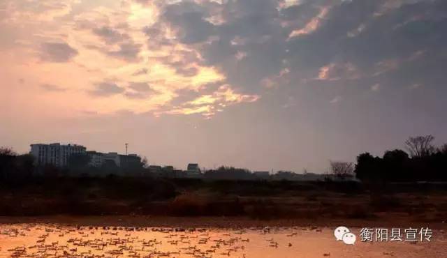 凌姓历史名人，姓凌的历史名人及其主要成就（渣江犁头嘴原来有这么一段悲壮的故事……）