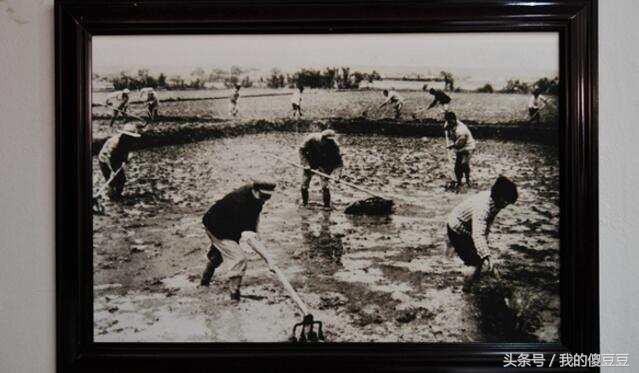华西村金牛多重，华西村有个金牛谁知道在哪里（金顶金龙还有一吨重的金牛）