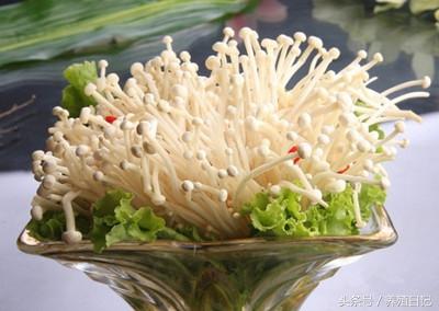 菌包在家怎么种植，网上购买的蘑菇菌包如何种植（在家2周就能种出金针菇）