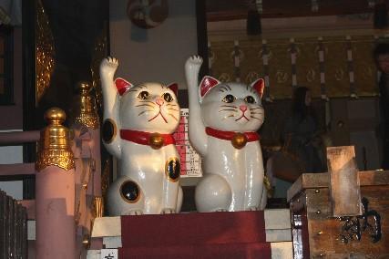 招财猫举左手和右手的区别是什么，招财猫举左手还是右手（招财猫举左手和举右手有啥区别）