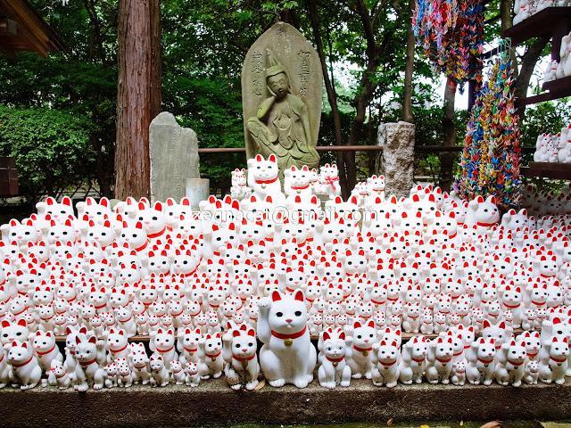 招财猫举左手和右手的区别是什么，招财猫举左手还是右手（招财猫举左手和举右手有啥区别）