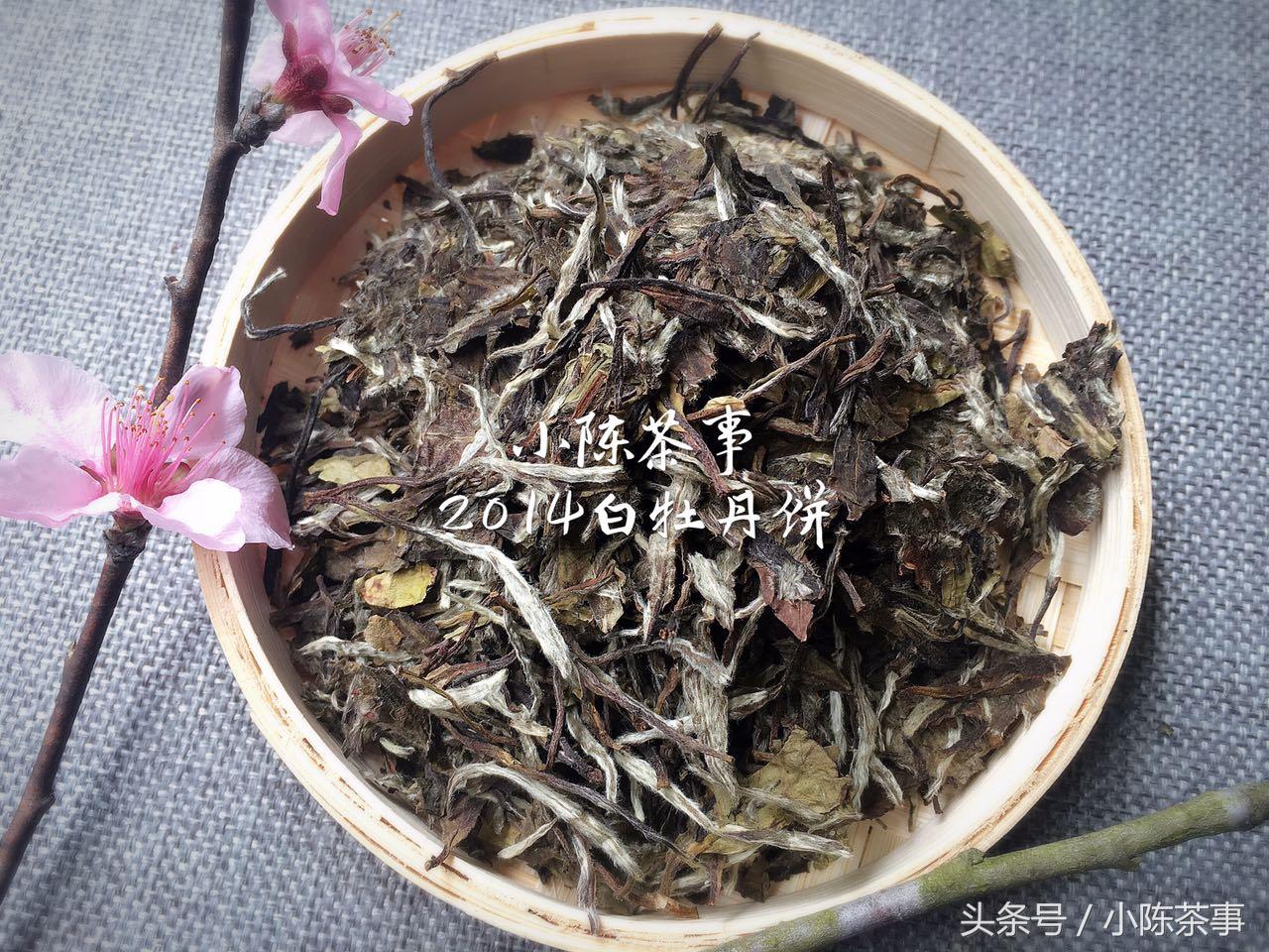 溧阳天目湖白茶开采啦，潥阳白茶能存放多久（远离春困，你需要一杯白茶）