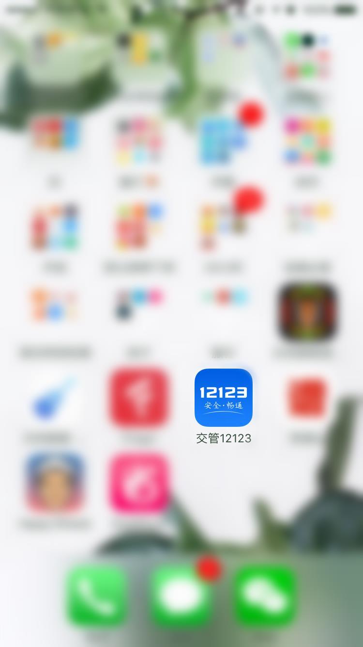 掌付通交通违章查询，掌付通全国交通违章查询网（我都不好意思说你out了）