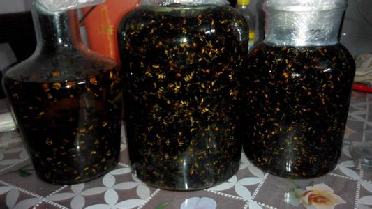 黑松露泡酒功效与作用,黑松露泡酒可以吗(新同事揭秘云南泡酒十八怪)