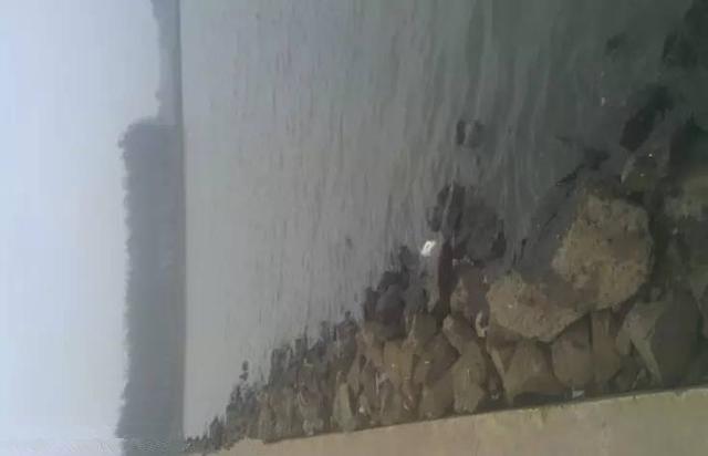 南京钓鱼攻略第二篇：本地钓点推荐与实战技巧全解析