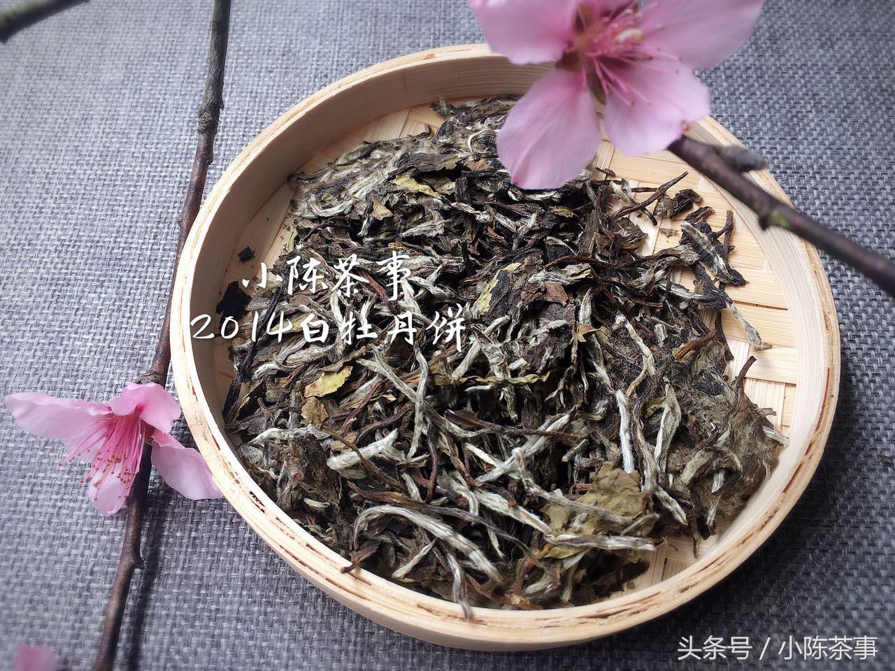 溧阳天目湖白茶开采啦，潥阳白茶能存放多久（远离春困，你需要一杯白茶）