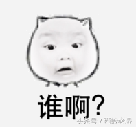 楚方玉历史人物原形，楚方玉历史人物原型（一个逗逼程序员解说）