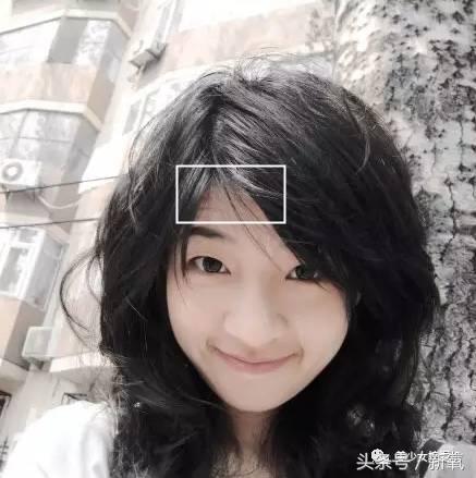 她叫张辛苑，微信头像，她叫张辛苑（除了张辛苑、晚晚、南笙）